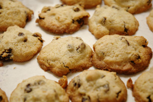 If not for the caption, you'd be thinking chocolate chip cookie, wouldn't you? It looks like one thing but is actually another - metadata problems in a cookie. If not for the caption, you'd be thinking chocolate chip cookie, wouldn't you? It looks like one thing but is actually another - metadata problems in a cookie.